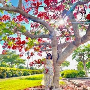 Meet your Posher, Nguyên